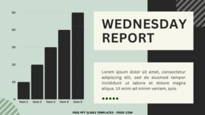 5 47 - Images of (Free Canva Template) Weekly Company Report PPT Slides Templates - Template no. 5