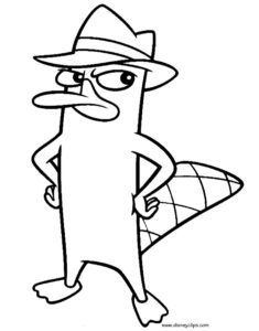 platypus one