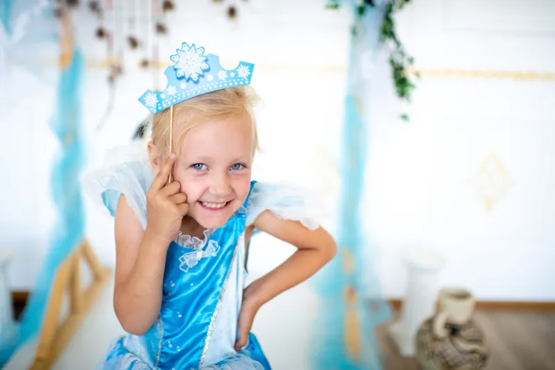 Cinderella Birthday Party Planner 