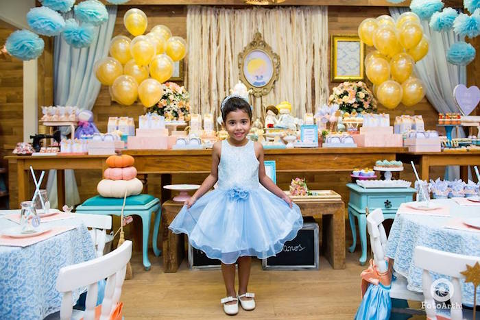 Cinderella Birthday Party Planner 