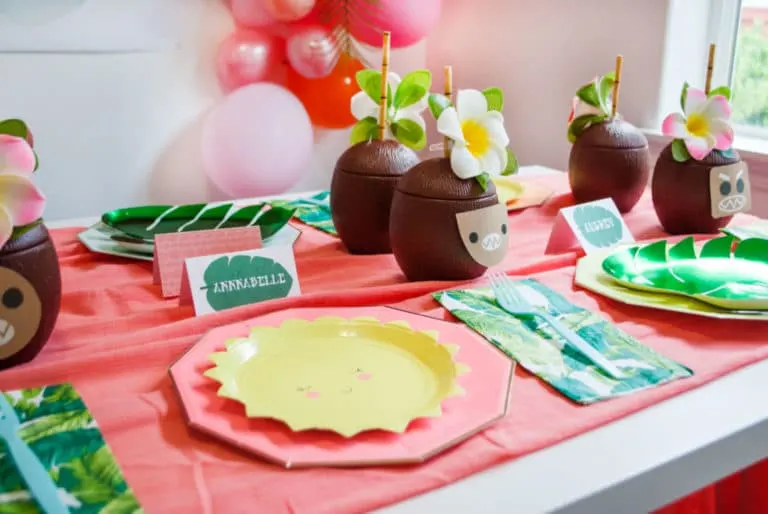 Moana Birthday Party Planner