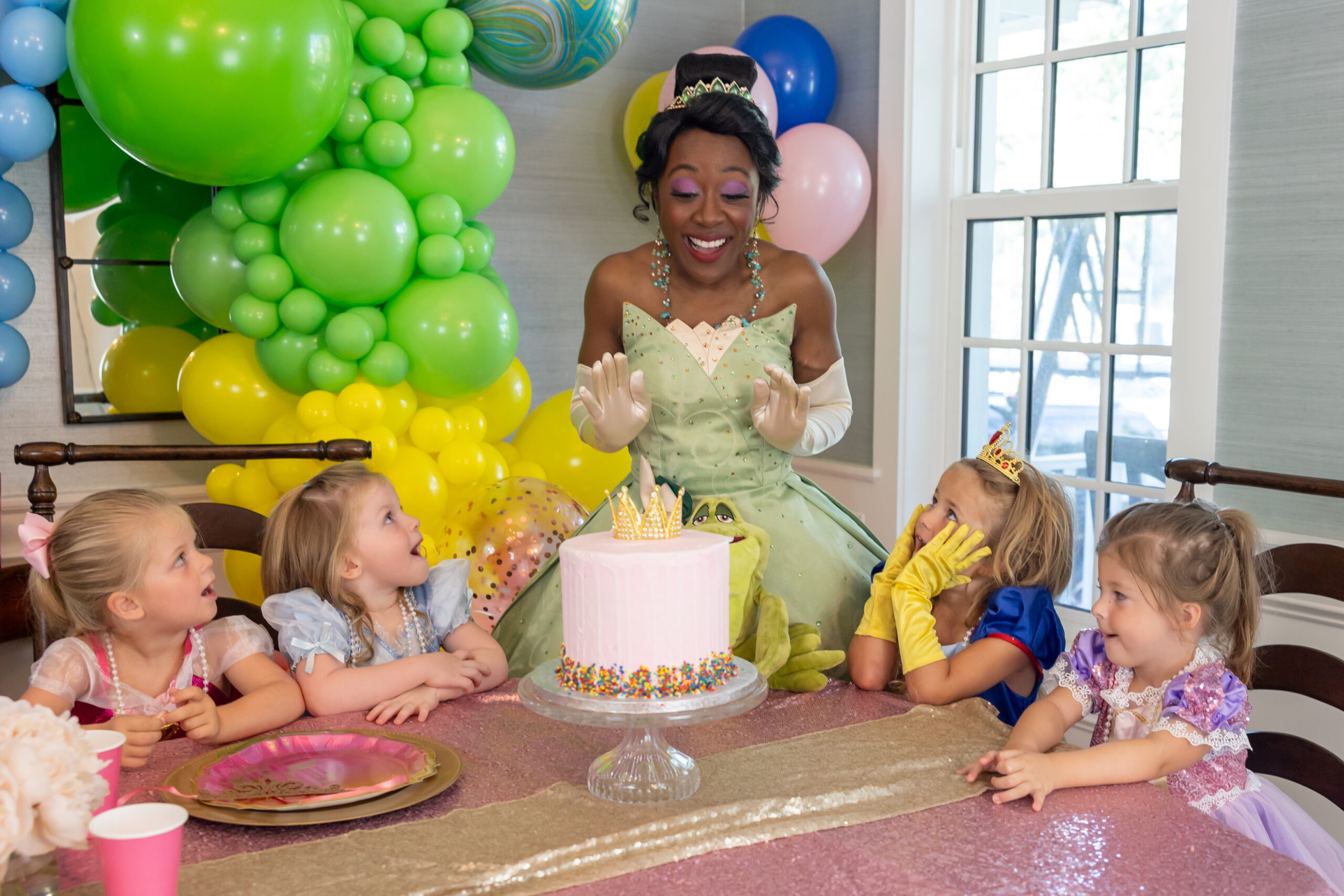 Princess Tiana Birthday Party Planner 