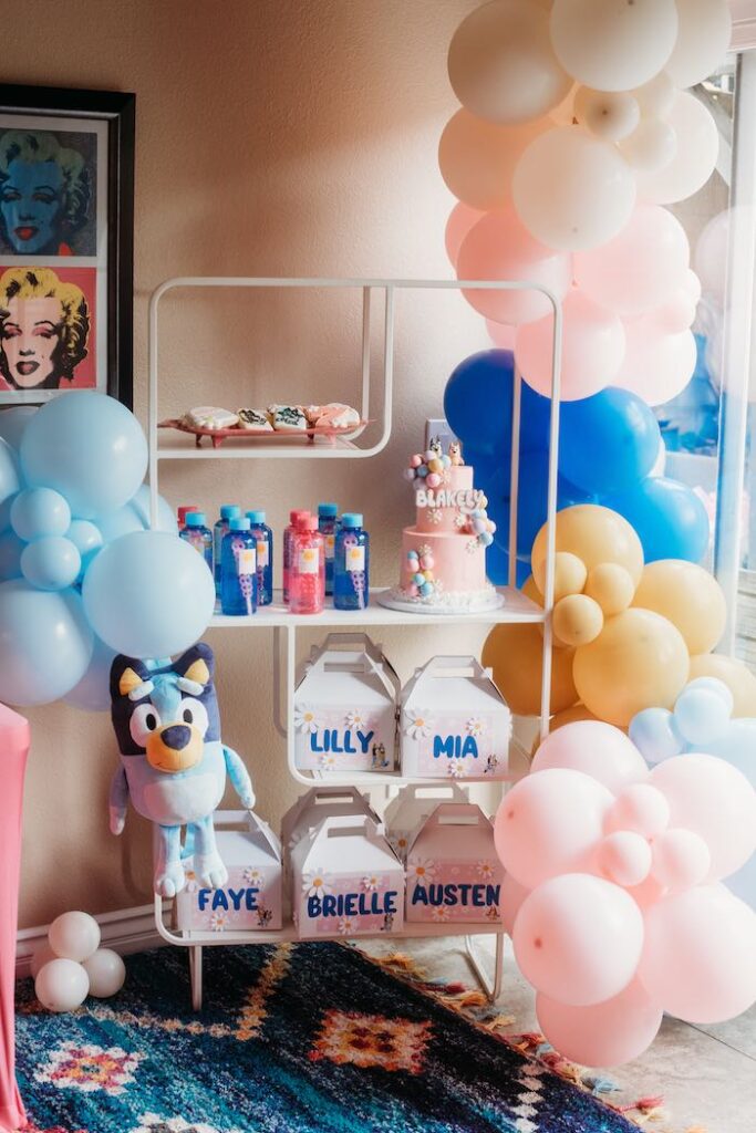 Bluey Birthday Party Planner