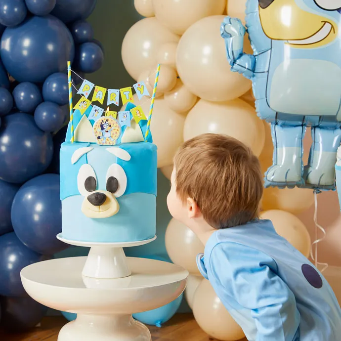 Bluey Birthday Party Planner