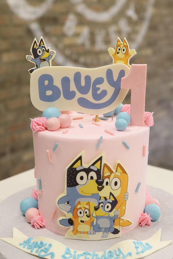 Bluey Birthday Party Planner