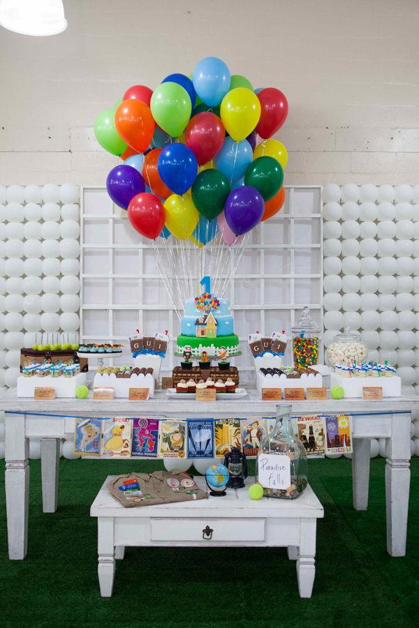 Disney Up Birthday Party Planner