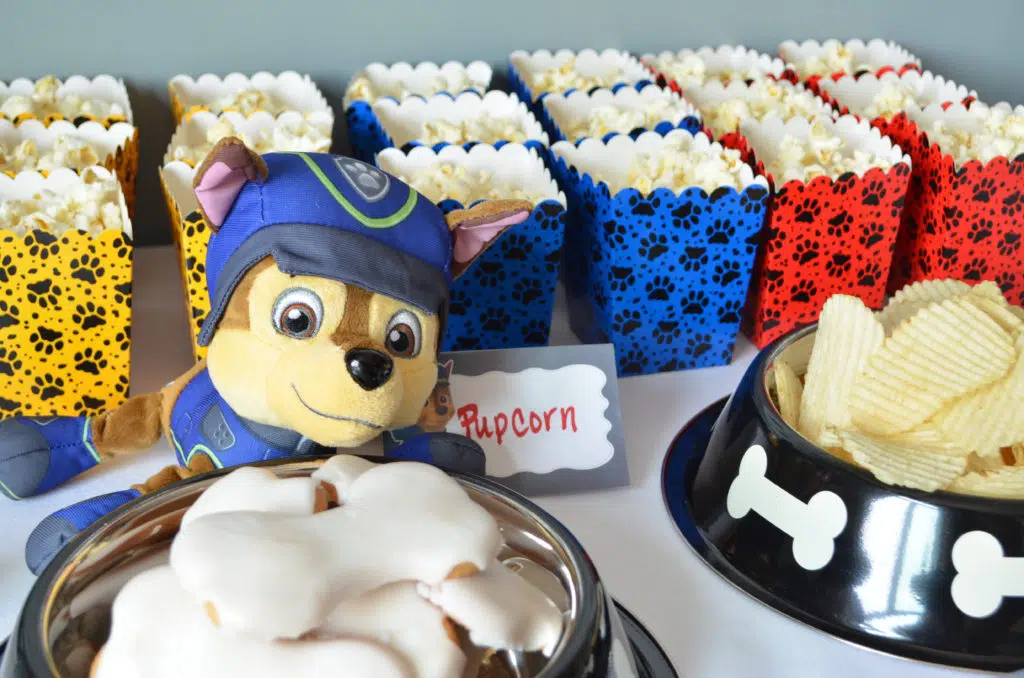 Paw Patrol Birthday Party Planner